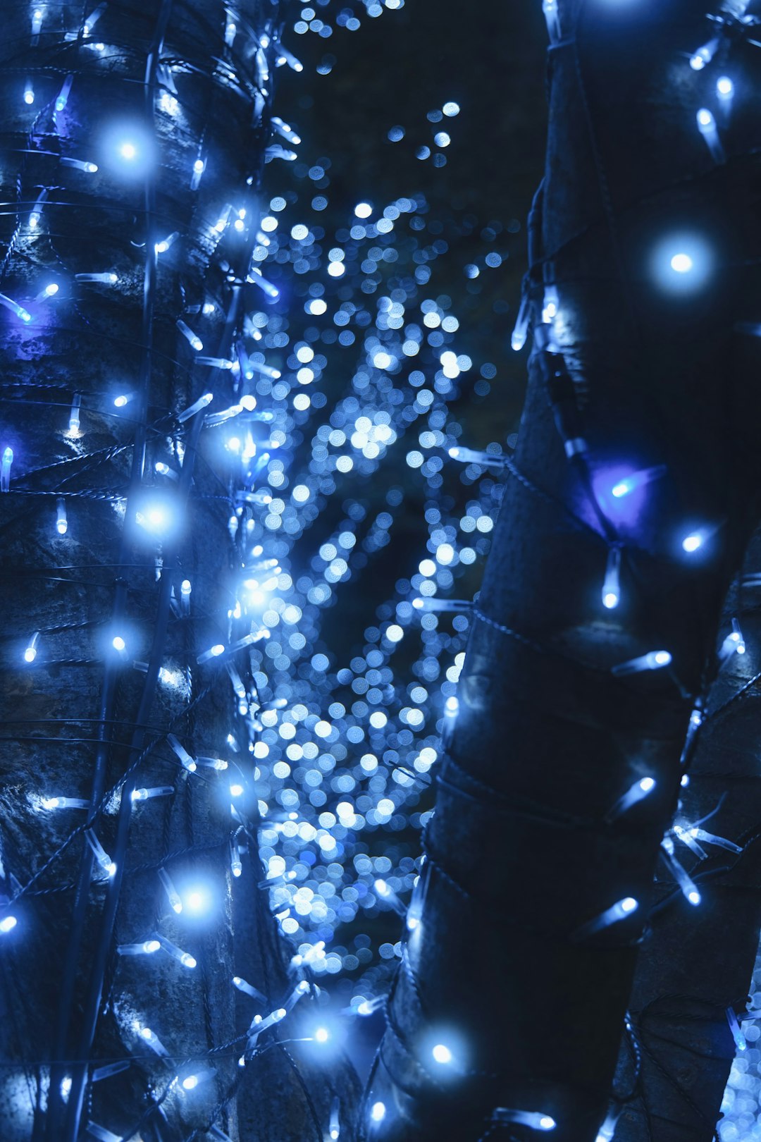 Color psychology in technology interfaces